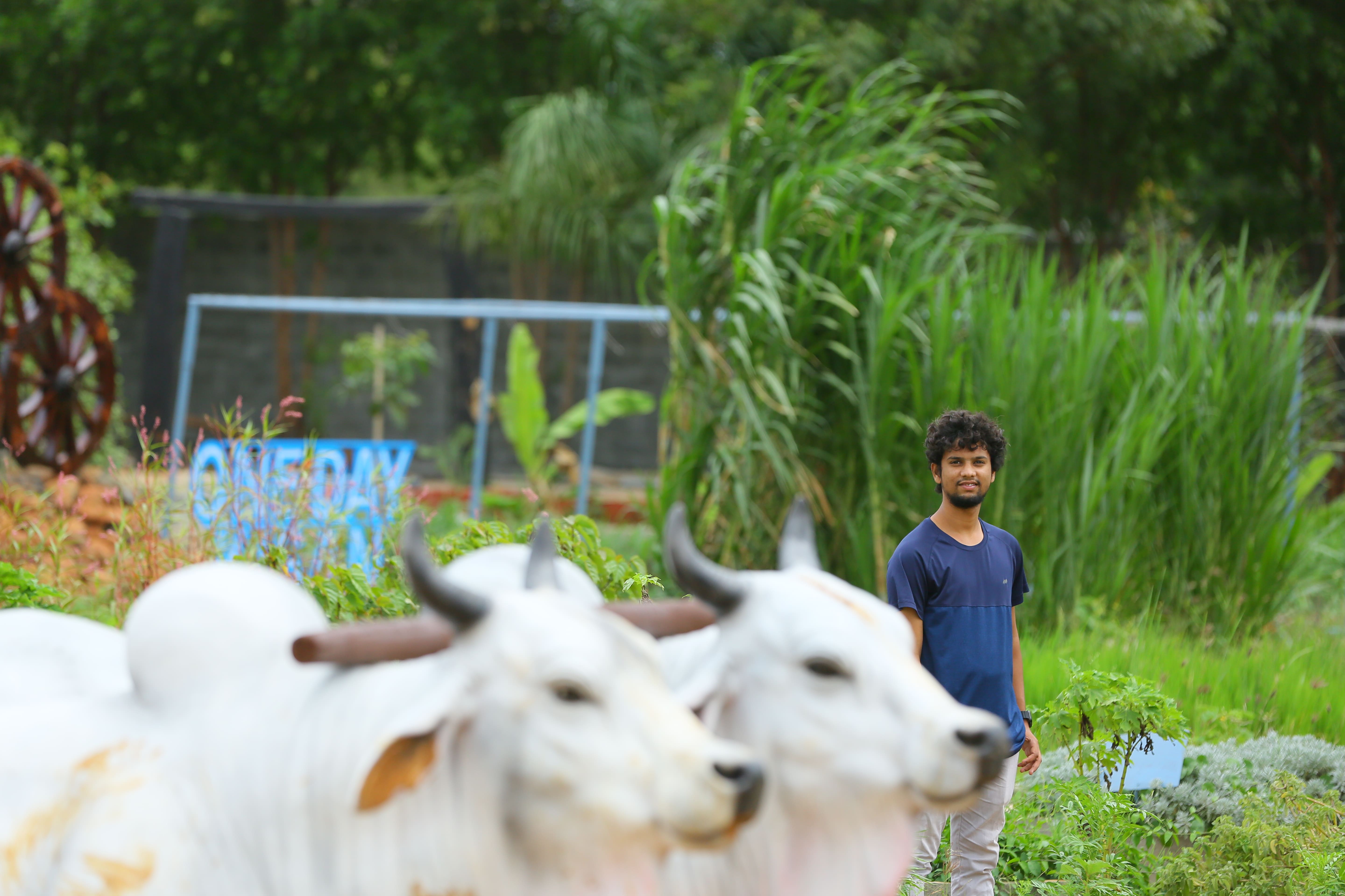 Farm Experience