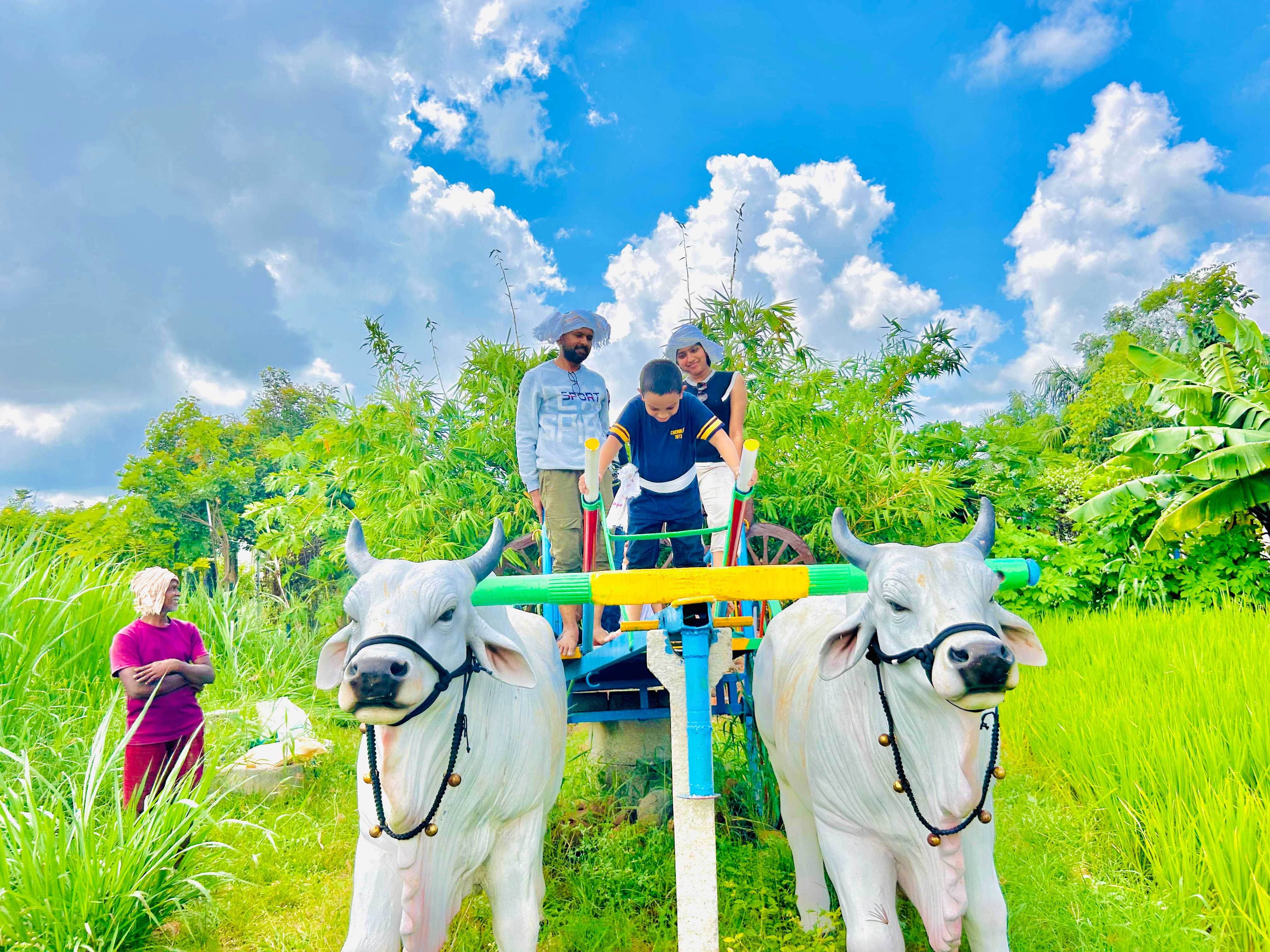 Farm Experience
