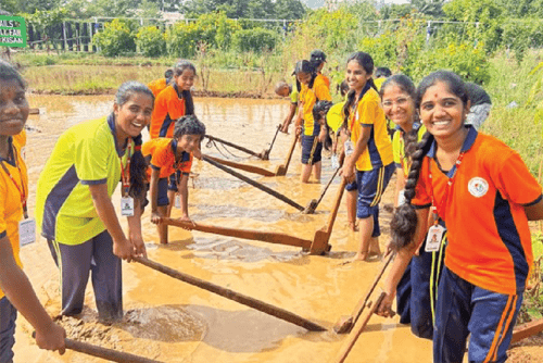 Ploughing & Paddy Transplanting