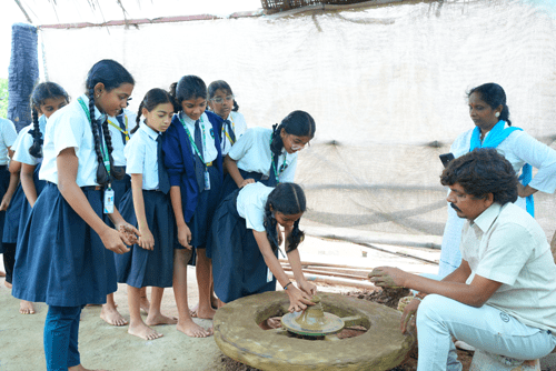 Life Cycle of Cotton or Pottery