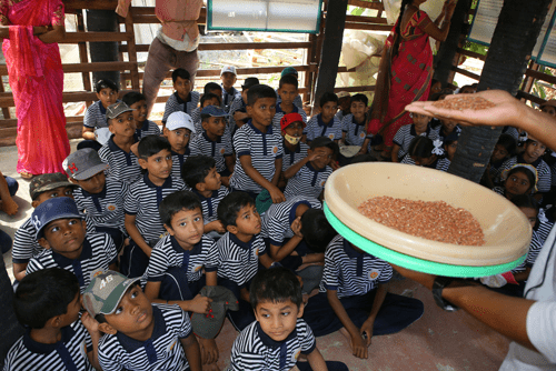 Life Cycle of Paddy / Rice Mill Activity